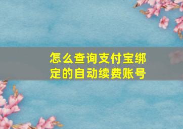 怎么查询支付宝绑定的自动续费账号