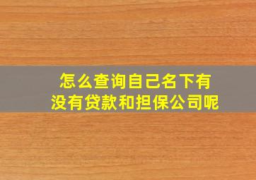 怎么查询自己名下有没有贷款和担保公司呢