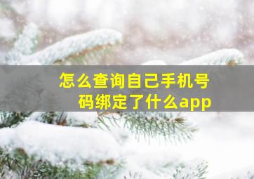 怎么查询自己手机号码绑定了什么app