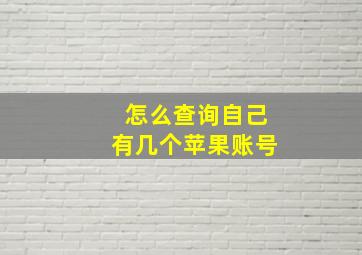 怎么查询自己有几个苹果账号