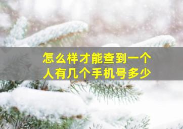 怎么样才能查到一个人有几个手机号多少