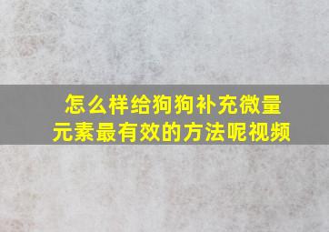 怎么样给狗狗补充微量元素最有效的方法呢视频