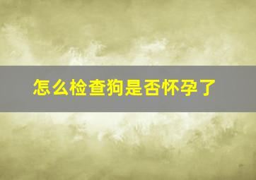 怎么检查狗是否怀孕了