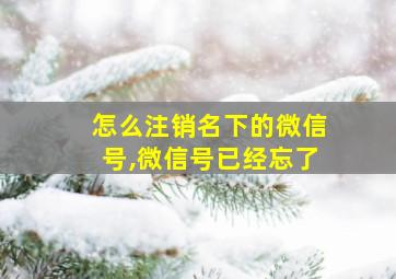 怎么注销名下的微信号,微信号已经忘了