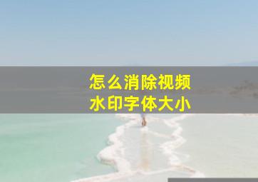 怎么消除视频水印字体大小