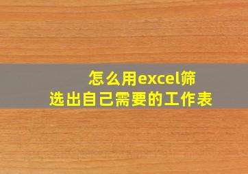 怎么用excel筛选出自己需要的工作表