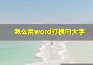 怎么用word打横向大字