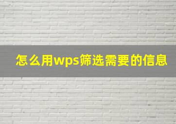 怎么用wps筛选需要的信息