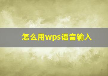 怎么用wps语音输入