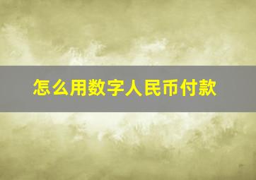 怎么用数字人民币付款