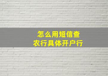 怎么用短信查农行具体开户行