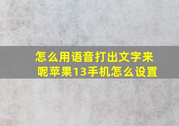 怎么用语音打出文字来呢苹果13手机怎么设置