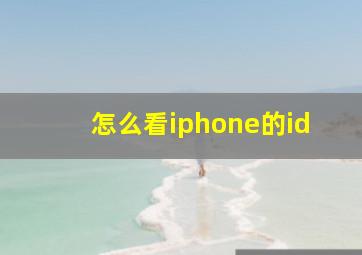 怎么看iphone的id