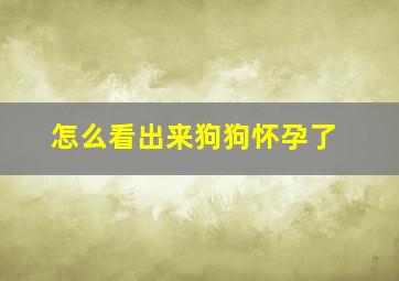 怎么看出来狗狗怀孕了