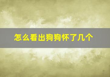 怎么看出狗狗怀了几个