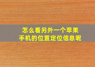 怎么看另外一个苹果手机的位置定位信息呢