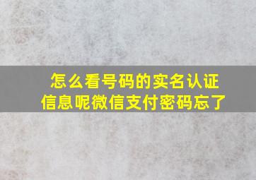 怎么看号码的实名认证信息呢微信支付密码忘了