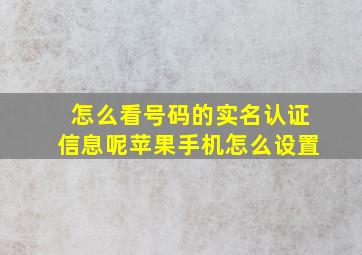 怎么看号码的实名认证信息呢苹果手机怎么设置