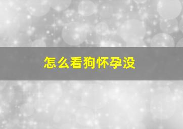 怎么看狗怀孕没