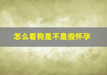 怎么看狗是不是假怀孕