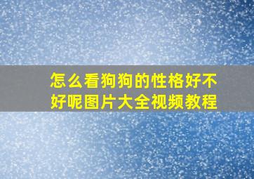 怎么看狗狗的性格好不好呢图片大全视频教程