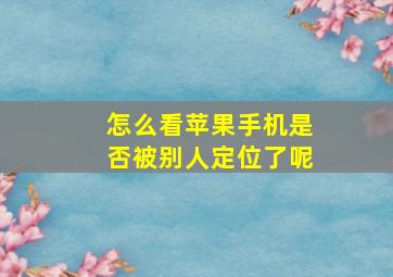 怎么看苹果手机是否被别人定位了呢