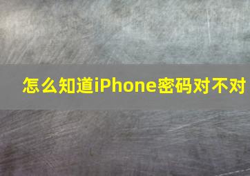 怎么知道iPhone密码对不对