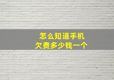 怎么知道手机欠费多少钱一个