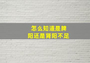 怎么知道是脾阳还是肾阳不足