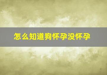 怎么知道狗怀孕没怀孕