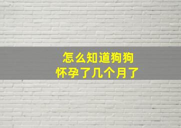 怎么知道狗狗怀孕了几个月了