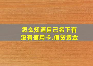 怎么知道自己名下有没有信用卡,信贷资金