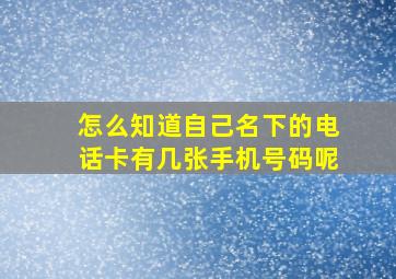 怎么知道自己名下的电话卡有几张手机号码呢