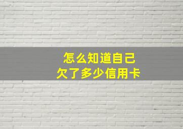 怎么知道自己欠了多少信用卡