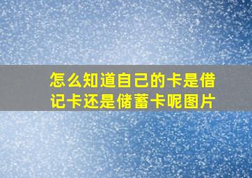 怎么知道自己的卡是借记卡还是储蓄卡呢图片