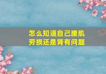 怎么知道自己腰肌劳损还是肾有问题