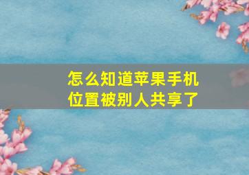 怎么知道苹果手机位置被别人共享了