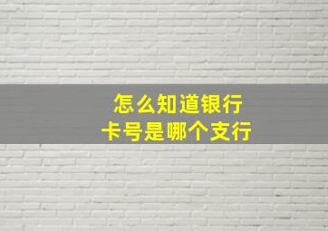 怎么知道银行卡号是哪个支行