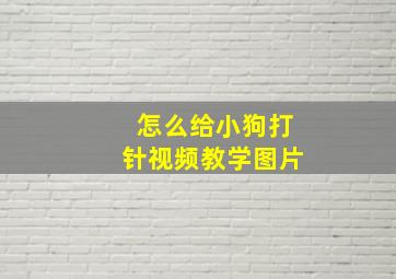 怎么给小狗打针视频教学图片