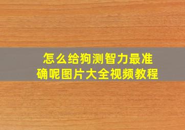 怎么给狗测智力最准确呢图片大全视频教程