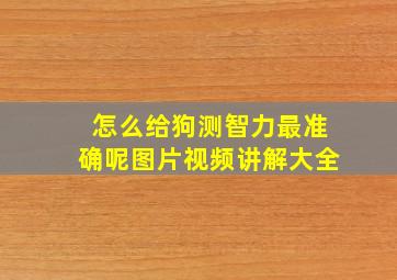 怎么给狗测智力最准确呢图片视频讲解大全