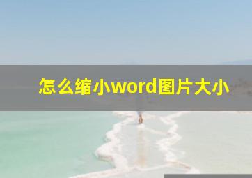 怎么缩小word图片大小