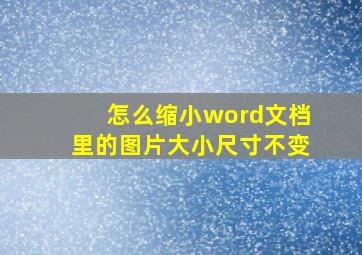 怎么缩小word文档里的图片大小尺寸不变