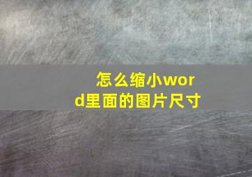 怎么缩小word里面的图片尺寸