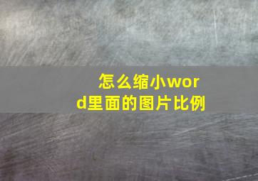 怎么缩小word里面的图片比例