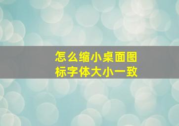 怎么缩小桌面图标字体大小一致