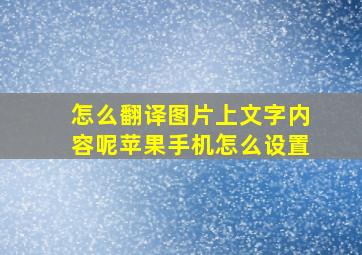 怎么翻译图片上文字内容呢苹果手机怎么设置