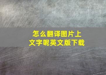 怎么翻译图片上文字呢英文版下载