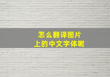 怎么翻译图片上的中文字体呢