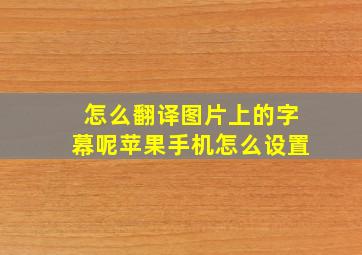 怎么翻译图片上的字幕呢苹果手机怎么设置